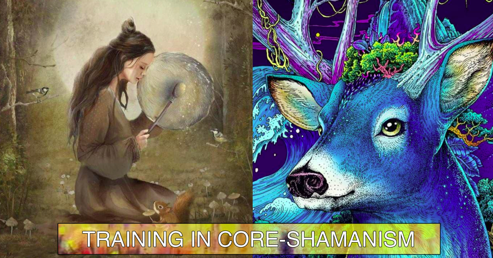 Foundation Shamanic Journey & Healing Training 