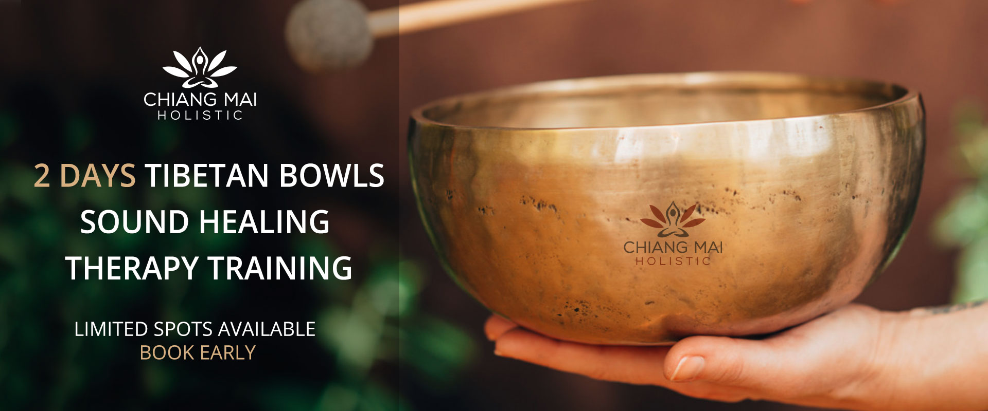 Tibetan Bowls Sound Sound Healing Therapy Training